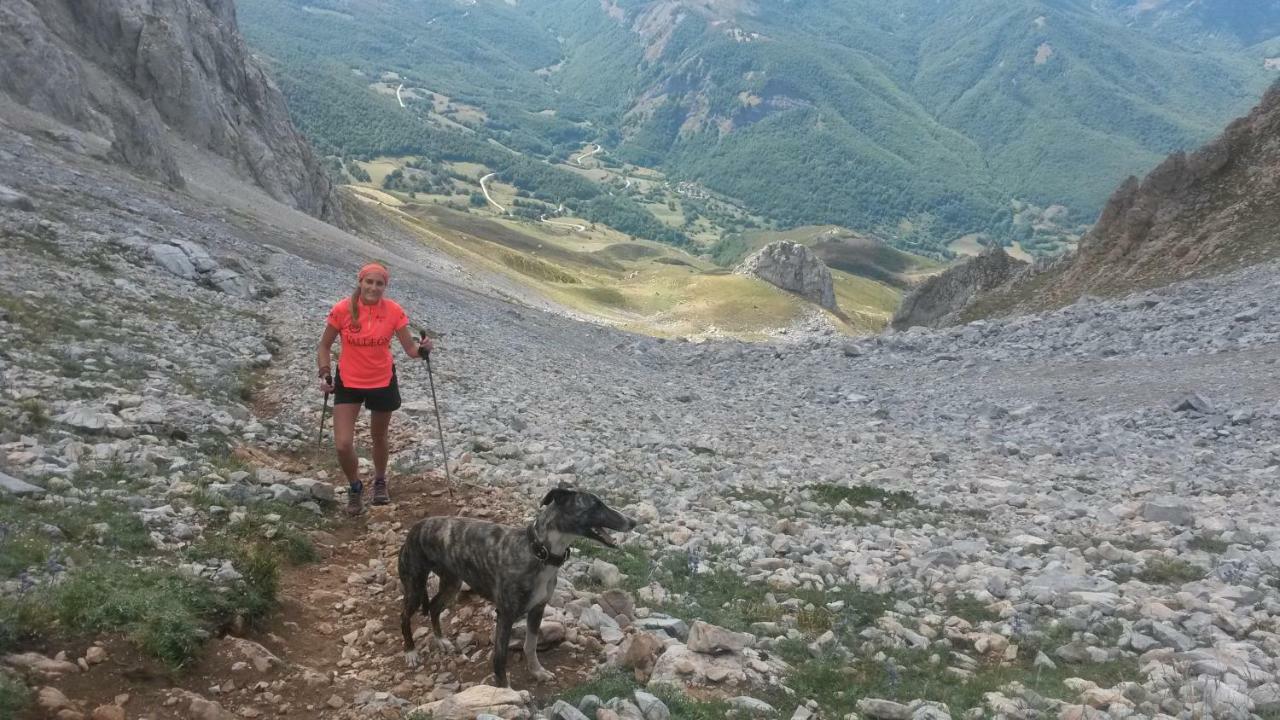 波萨达德瓦尔德翁 Refugio La Ardilla Real旅舍 外观 照片